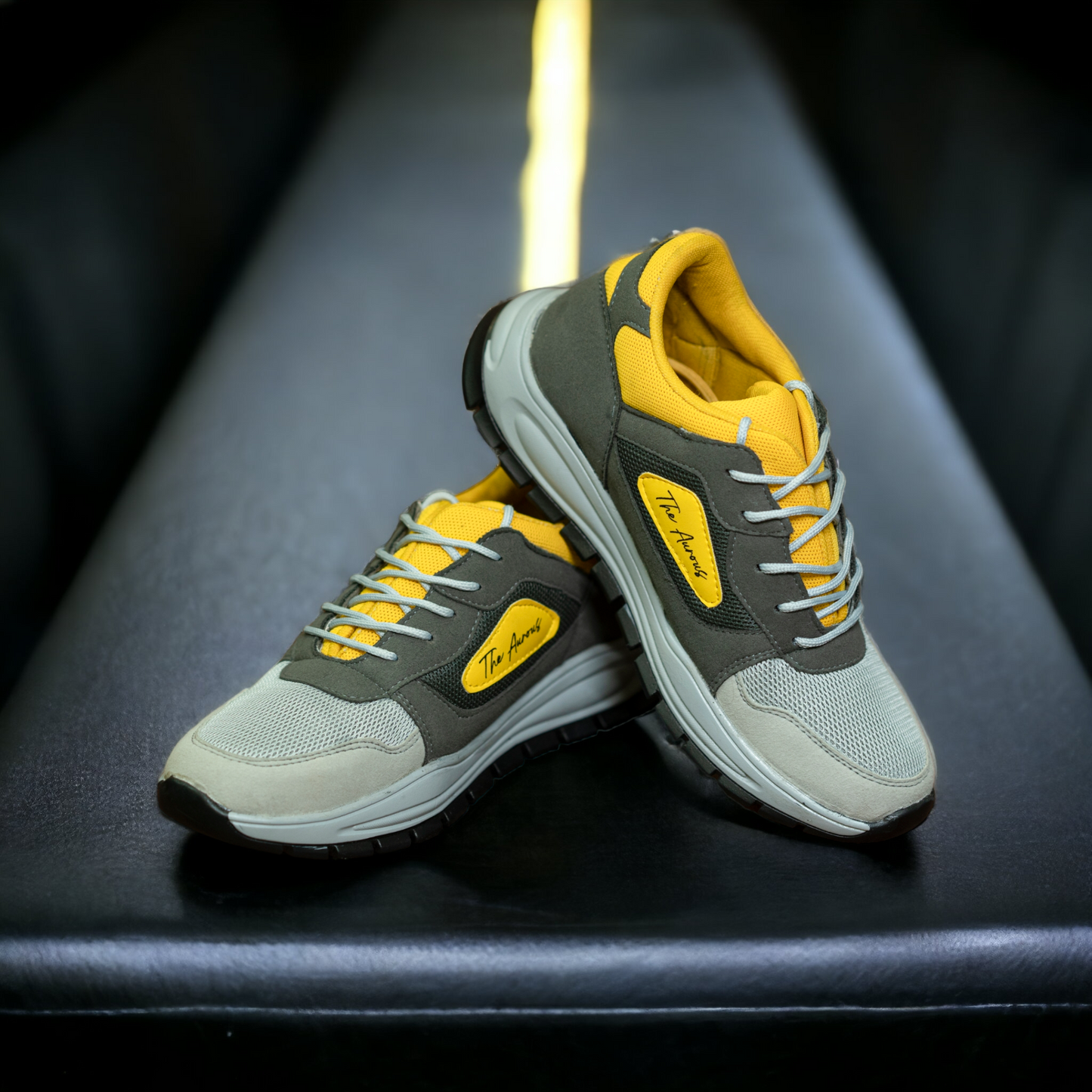 The Aurous Meteor Laceup Sneakers